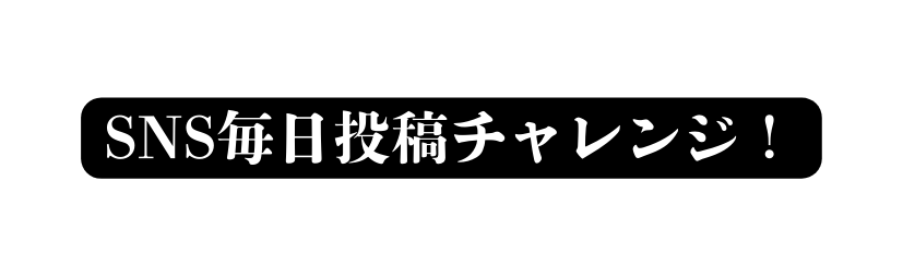 SNS毎日投稿チャレンジ